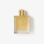 Burberry Gold Eau De Parfum in 100ml - Women
