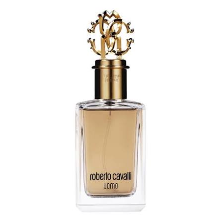 Roberto Cavalli Uomo Signature Edt 100ml for Men