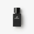 Mr Burberry Edp 100ml for Men
