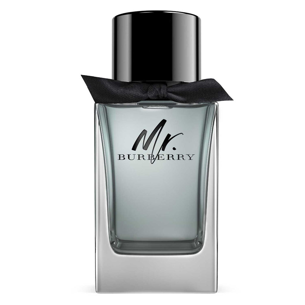 Mr Burberry Edt 100ml for Men