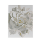 Ahmed Al Maghribi Musk & Roses EDP 75ml